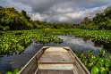 002 Noord Pantanal